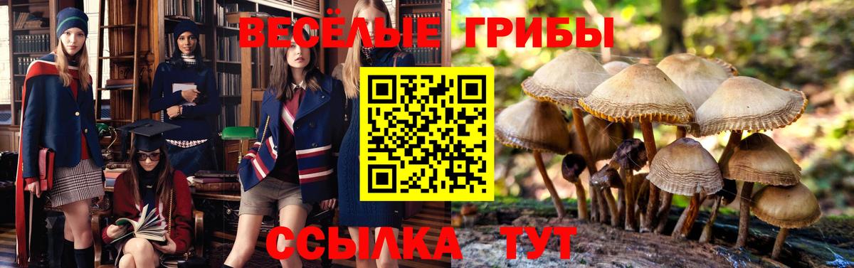 Галлюциногенные грибы мицелий  Вход с VPN  Южно-Сахалинск 
